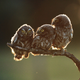 Image: Tibor Kércz/Comedy Wildlife Photo Awards